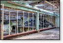 HDR graffiti streetart street-art street art skeleton factory urbex roa klaas van der linden kunst kunstwerk decay verlaten lost place places abandoned
